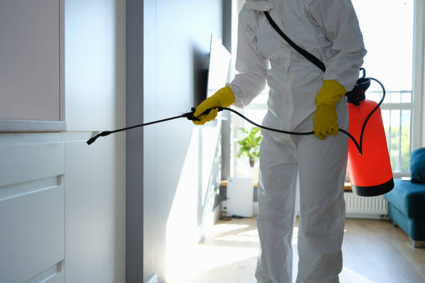 Reliable Key Center, WA Mold Remediation Solutions